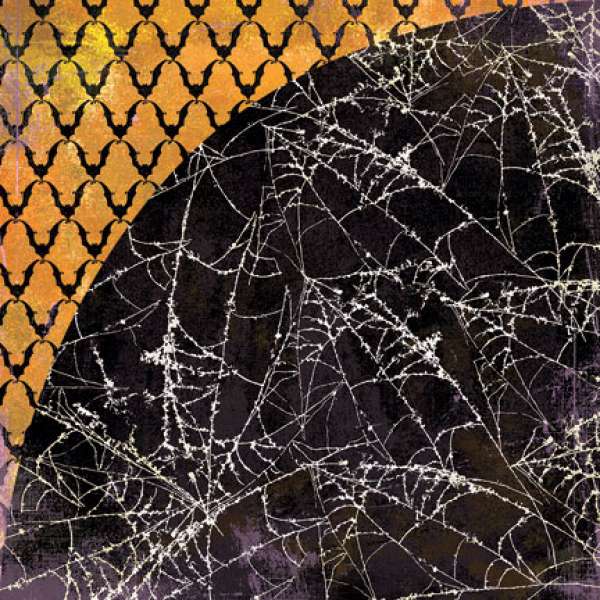BasicGrey Eerie Spider Web