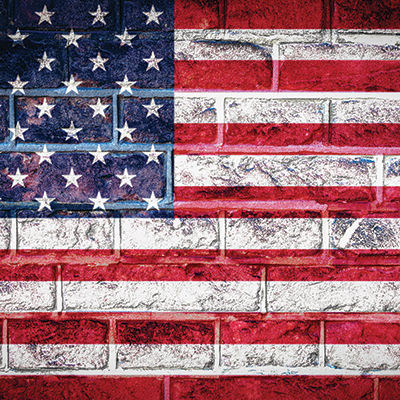 Ella & Viv Brick Backgrounds American Flag Brick Wall