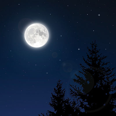 Ella & Viv Paper Co The Great Outdoors Full Moon Night Sky
