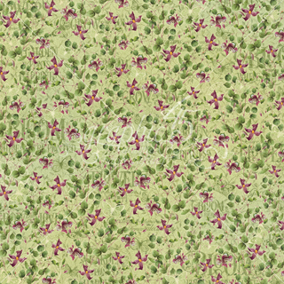Graphic 45 Bloom Dainty Blossoms