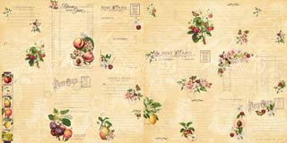 Graphic 45 Fruit & Flora Ephemera Cards