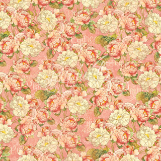 Graphic 45 Princess Roses For Royalty