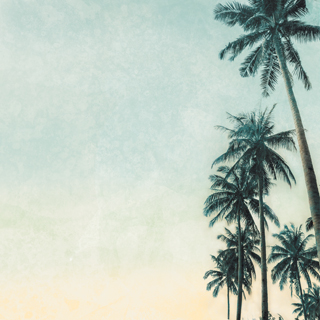 Kaisercraft Paradise Found Palm Trees