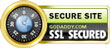 go daddy ssl logo