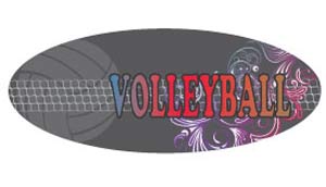 Moxxie Volleyball 14 logo