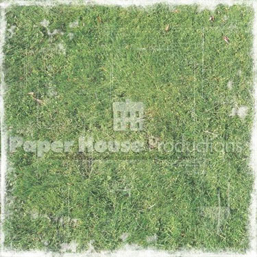 Paper House Lacrosse Distressed Grass