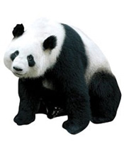Paper House Productions Zoo Panda Mini Cut Out