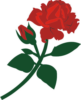 Petticoat Parlor Red Rose