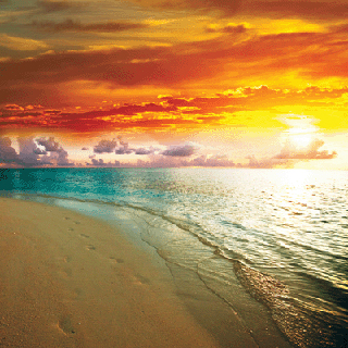 Reminisce At The Beach Sunset Paradise