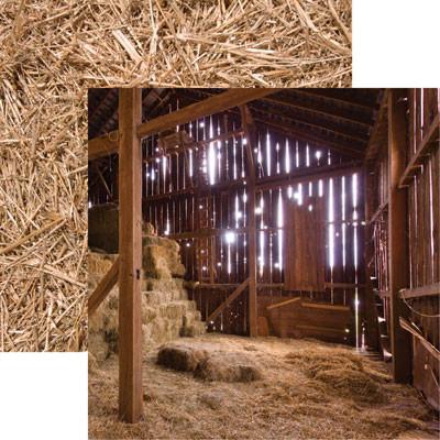 Reminisce At The Farm In The Barn