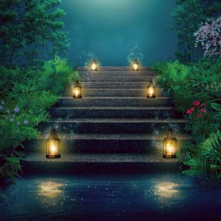 Reminisce Enchanted Forest Stairway To Enchantment