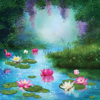 Reminisce Enchanted Forest Pond Of Lillies