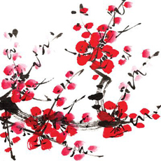 Reminisce Everything Zen Plum Blossom