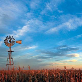 Reminisce Farm Life Windmill