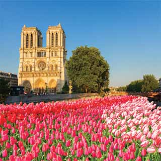 Reminisce France Notre Dame