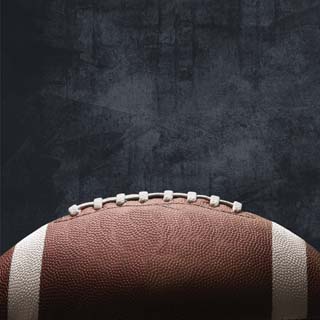 Reminisce Game Day Football Pigskin