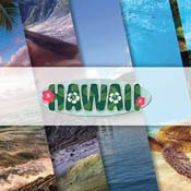 Reminisce Hawaii logo