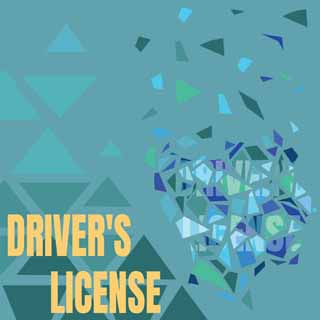 Reminisce In The Driver's Seat Driver's License