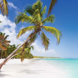 Reminisce Island Paradise Punta Cana