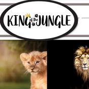Reminisce King Of The Jungle