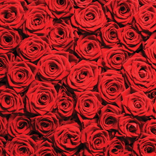 Reminisce Made With Love Red Roses