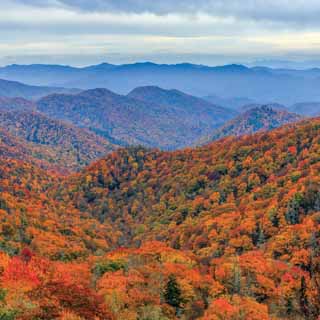 Reminisce National Parks Great Smoky Mountains