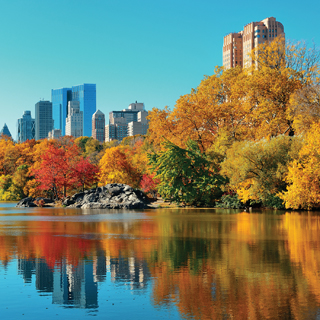Reminisce New York Central Park