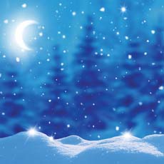 Reminisce North Pole Express Christmas Magic