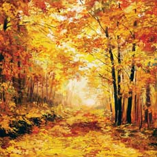 Reminisce October Roads Fall Foliage