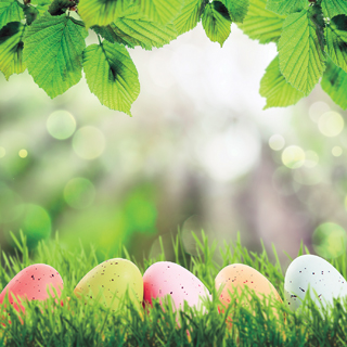 Reminisce Springtime 2019 Easter Egg Hunt
