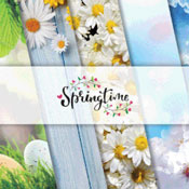 Reminisce Springtime 2019 logo