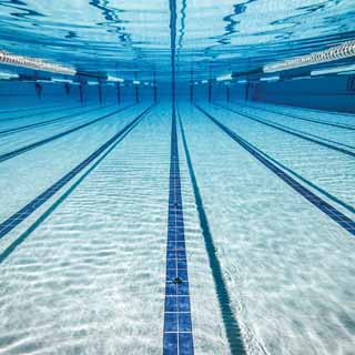Reminisce Swim Team Under Water