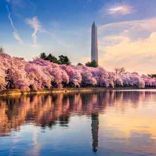 Reminisce Washington DC Washington Monument