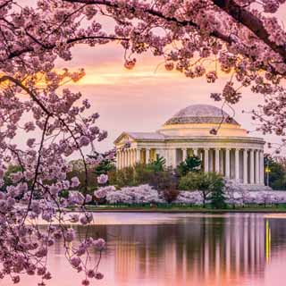 Reminisce Washington DC Jefferson Memorial