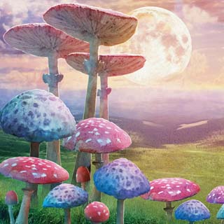 Reminisce Welcome To Wonderland Dream Landscape