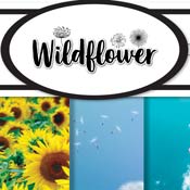 Reminisce Wildflower