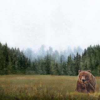 Scrapbook Customs Watercolor Animals Bear