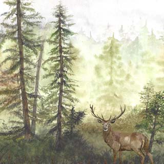 Scrapbook Customs Watercolor Animals Deer