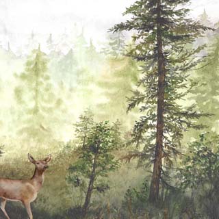 Scrapbook Customs Watercolor Animals Deer