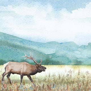 Scrapbook Customs Watercolor Animals Elk