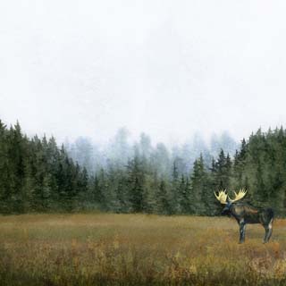 Scrapbook Customs Watercolor Animals Moose