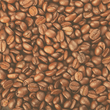 SugerTree Coffee Beans