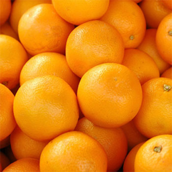SugarTree Oranges
