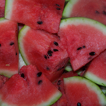 SugarTree Watermelon