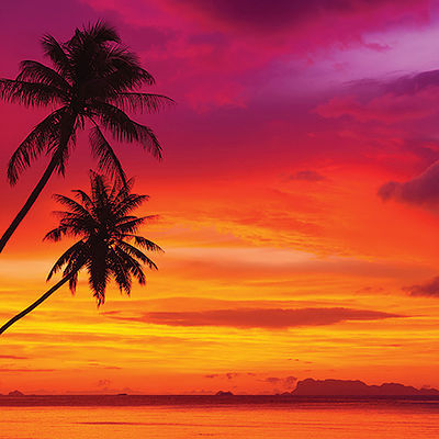Reminisce Just Beachy Tropical Sunset
