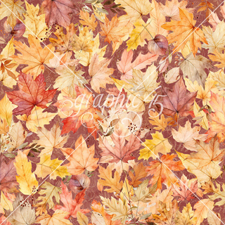 Graphic 45 Autumn Greetings Fall Foliage