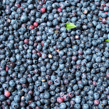 McRice Papers Blueberries