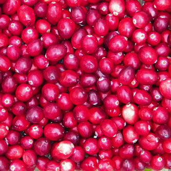 McRice Papers Cranberries