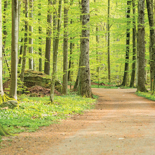 Paper House Productions Outdoor Adventure Path To Adventure