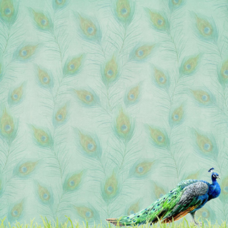 Scrapbook Customs Watercolor Safari Peacock Safari